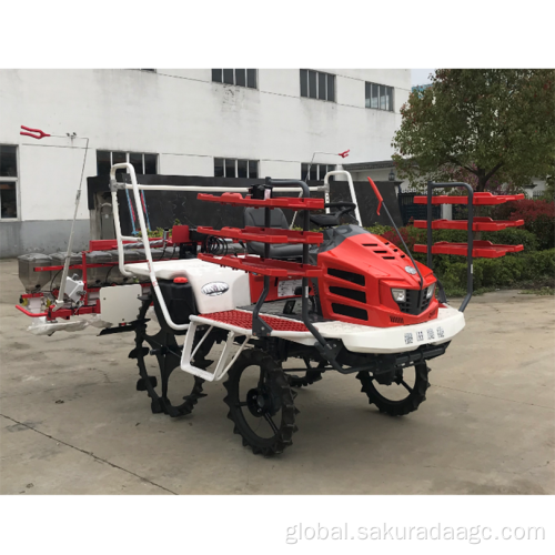 China Paddy field precision hole transplanter Supplier